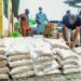 Nigerians Lament Bitterly Over Inability To Access N40k Bag Of Rice Launched By FG