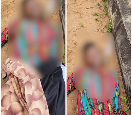 Lady C0rpse Dumped On Roadside in Delta State After Visit To Man She Met On Dating Site