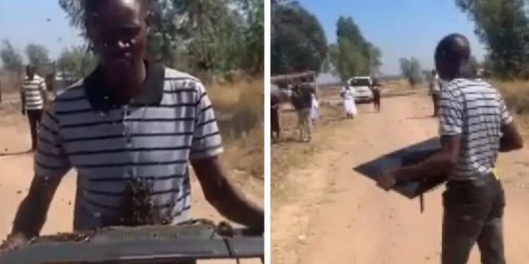 Man Returns Stolen TV After Owner Allegedly Sends Bees To Retrieve It (Video)
