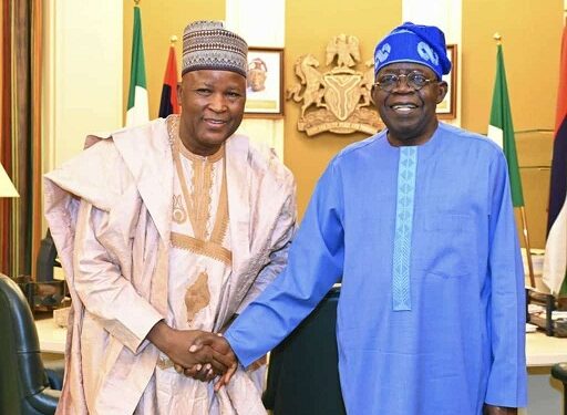 The Reason Tinubu Gave For Sacking Me Is Not Valid – Former Minister Speaks Up