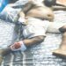 Onlooker Killed As Customs Officers And Smugglers Clash In Ogun