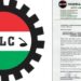 New Minimum Wage: Nigeria Labour Congress In Enugu, Oyo, Kaduna, 11 Other States To Commence Indefinite Strike