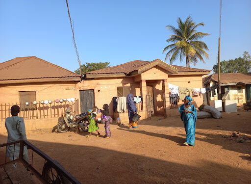 People Are Dumping Insane Persons From Abuja In Our Community — Kaduna Locals Raise Alarm