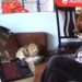 Woman in China Loses Job, Bonuses As Cat Accidentally Submits Resignation Letter (Video)