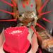 Nigerian Lady Shocks The Internet, Throws Lavish Birthday Party For Her Cat (Video)
