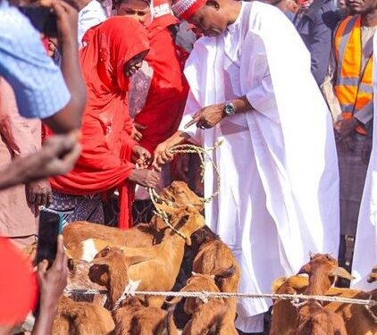 Governor Yusuf Distributes 7,158 Goats To Empower 2,386 Women In Kano
