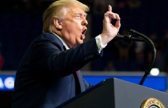 I’ll Prevent World War 3, End That Of Ukraine – Trump