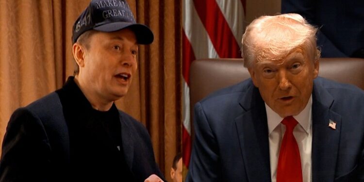 President Trump Vows To ‘Throw Out’ Any Members Of His Cabinet Who Doesn’t Respect Elon Musk