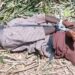 Community Petitions Governor Sani Over M8rder Of SS2 Student At Kaduna School (Graphic Photo)