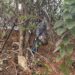 Man Commits Suicide By Hanging In Ibadan (Photo)