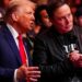 DOGE: Elon Musk Reacts As Trump Advises Him To Get More Aggressive