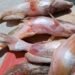 Four Reported Dead, Two Hospitalized After Consuming ‘Poisonous Fish’ In Taraba