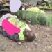 Lords Chosen Church Members Killed By Herdsmen In Nkaleha, Ebonyi (Photo)