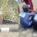75-year-old Grandma R@ped By Kidnappers In Ondo