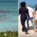 Commotion As Shark Bites Woman’s Hands Off After She Tried To Take A Photo Of It (Photos)