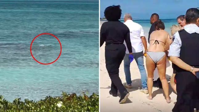 Commotion As Shark Bites Woman’s Hands Off After She Tried To Take A Photo Of It (Photos)