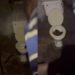 Residents Find Massive Snake Inside Their Toilet (Watch Video)