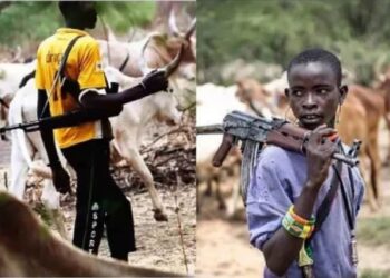 Suspected Herders Kill 20 People In Ondo Farm Settlements