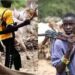 Suspected Herders Kill 20 People In Ondo Farm Settlements