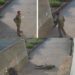 Watch The Moment Man Collapses And Dies During Morning Walk (Video)