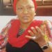 Strike: Pay Primary School Teachers ₦70,000 Minimum Wage – Senator Kingibe To FCT Council Chairs