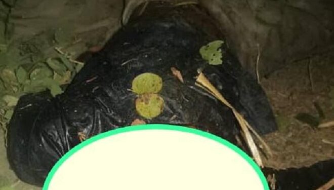 Suspected Ritualists Behead 14-Year-Old Almajiri