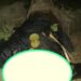 Suspected Ritualists Behead 14-Year-Old Almajiri