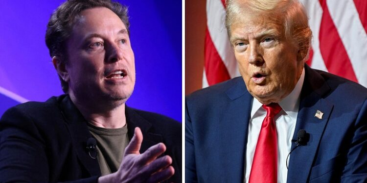 Elon Musk Has Never Asked Me For Favours, Anything – Trump
