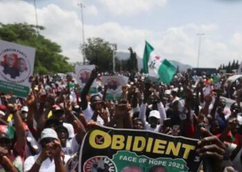 Obidient Movement Launches Online Registration Portal, Identity Cards For Members