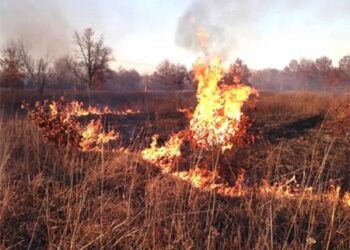 Youths Set Fulani Settlement On Fire in Kwara Over Alleged Ties With Kidnappers