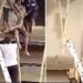Carpenter Gets Electrocuted While Roofing A Building In Anambra (Video)