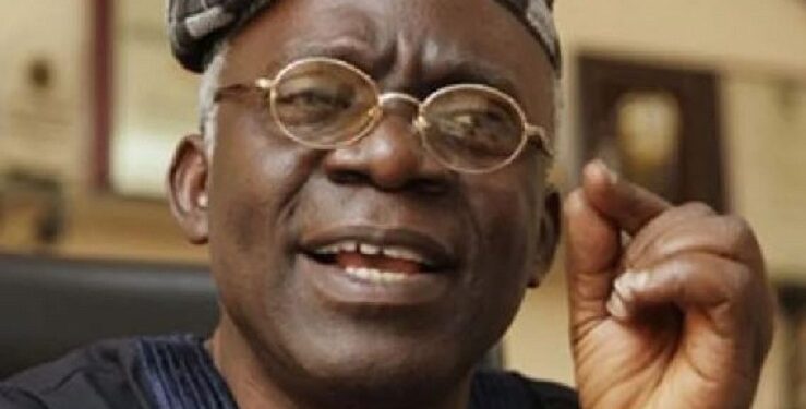Reclaim Nigeria Now From Older Generation – Falana Begs Youths