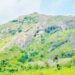 Panic As Gunmen Abduct Worshippers During Church Vigil On ‘Prayer Mountain’ In Kogi State