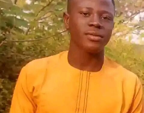 Tragedy As Young Boy Dies After Falling From Tree While Plucking Mangoes in Niger State