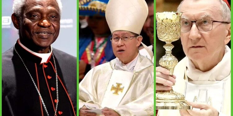 Who Will Be the Next Pope? Key Contenders Emerge After Pope Francis’ Death