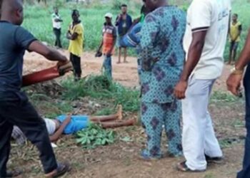 11-Year-Old Nigerian Boy Dies After Falling From Mango Tree