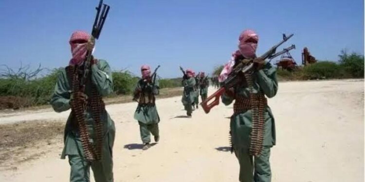 New Terror Group “Mahmuda” Emerges In North-Central Nigeria, Kills Over 15 Vigilantes, Others