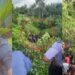 Lady Narrates Osun Tragedy As Driver Sleeps Off, Crashes Cow Truck (Video)