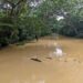 Man Dies After Jumping Into Osun River