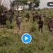 Our Helicopter Didn’t Deliver Food To Bandits – Police (Video)