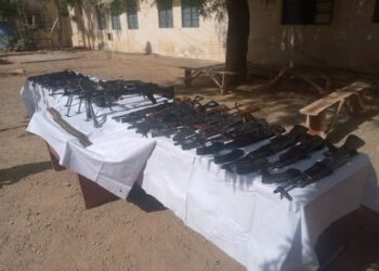 Bandit Commanders Surrender In Katsina, Insist On Keeping Weapons For Self-Defence