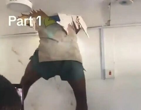 Thief Caught After Breaking Into a Shop Through The Roof (Video)