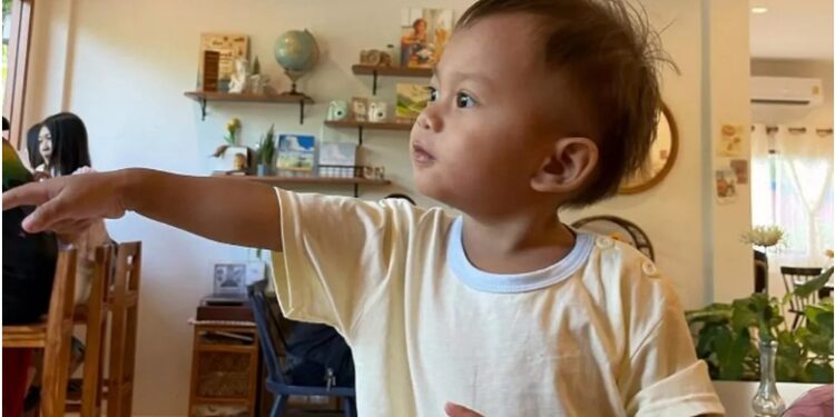 2-Year-Old Boy Stung To De@th By Swarm Of Wasps As Dad Remains in Critical Condition