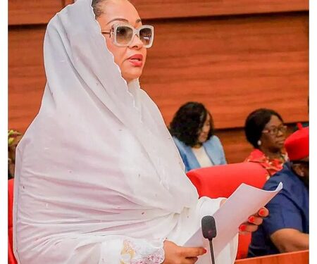 National Assembly Gate Shut Against Senator Natasha Akpoti-Uduaghan (Video)