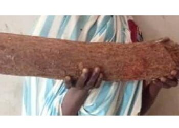 Nigerian Woman Beats Her Own Husband To D3ath With Log Of Wood During Heated Argument Over Food