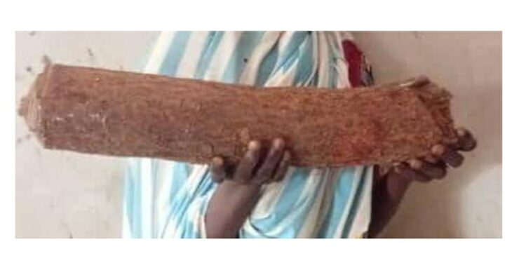 Nigerian Woman Beats Her Own Husband To D3ath With Log Of Wood During Heated Argument Over Food