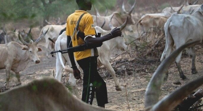 Fulani Must Produce Muslim Deputy Governor, SSG for Peace to Return to Plateau – Fulani Man Insists