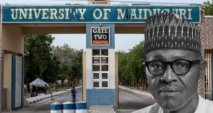 “How Would You Feel If Harvard Were Renamed To Barack Obama University?” – Academician Reacts As Tinubu Renames University of Maiduguri After Buhari