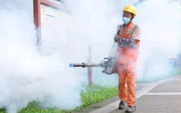 China Reports Over 7,000 Cases of Chikungunya Virus (Video)