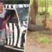 58-Year-Old Zookeeper Eaten Alive By Pack Of Lions In Front Of Tourists (Graphic Video)